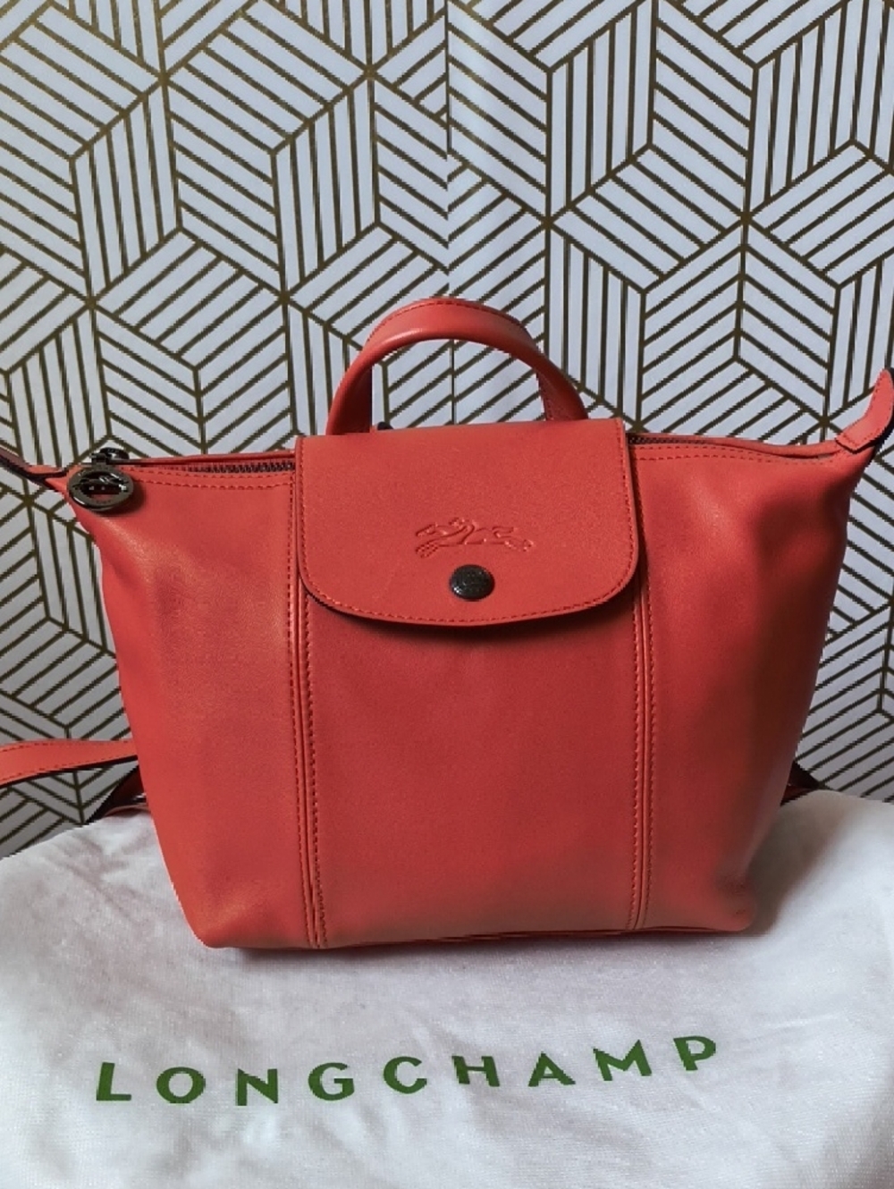 Longchamp Coral Leather Small Backpack/ Top-Handle Bag